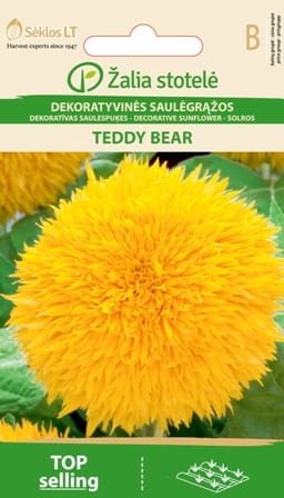 DEKORATYVINĖS SAULĖGRĄŽOS TEDDY BEAR