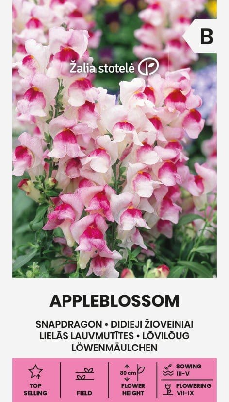 DIDIEJI ŽIOVEINIAI APPLEBLOSSOM