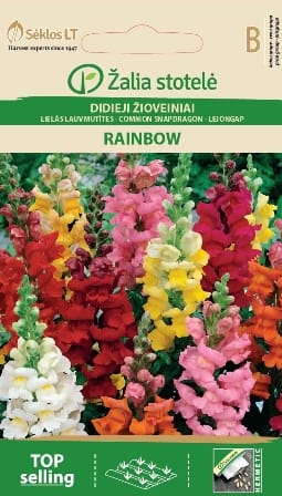DIDIEJI ŽIOVEINIAI RAINBOW