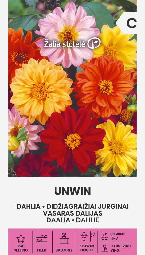 DIDŽIAGRAIŽIAI JURGINAI UNWIN