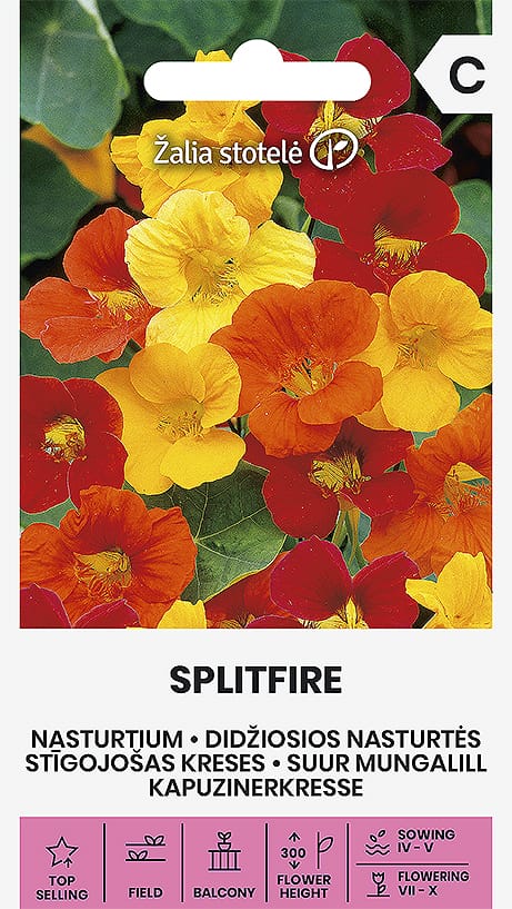 DIDŽIOSIOS NASTURTĖS SPLITFIRE