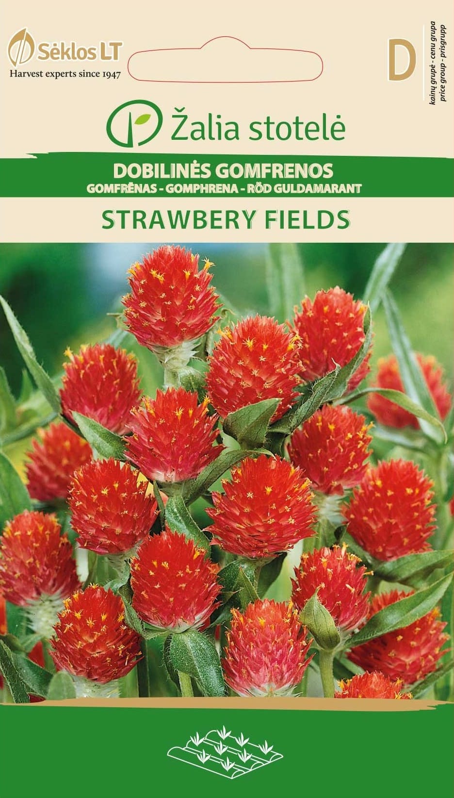 DOBILINĖS GOMFRENOS STRAWBERY FIELDS