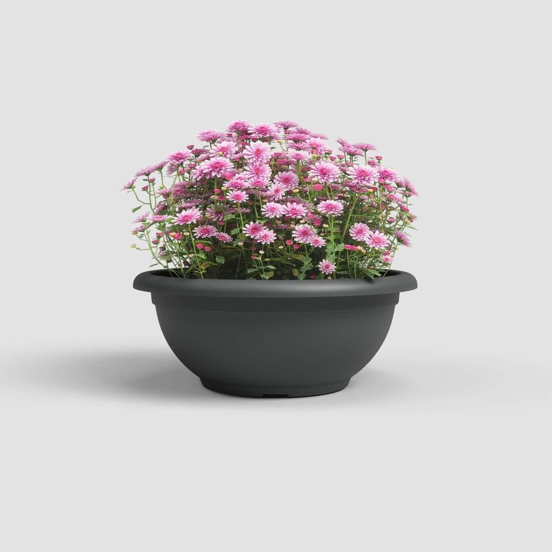 DUBUO JUODAS, 40X17CM - Image 2