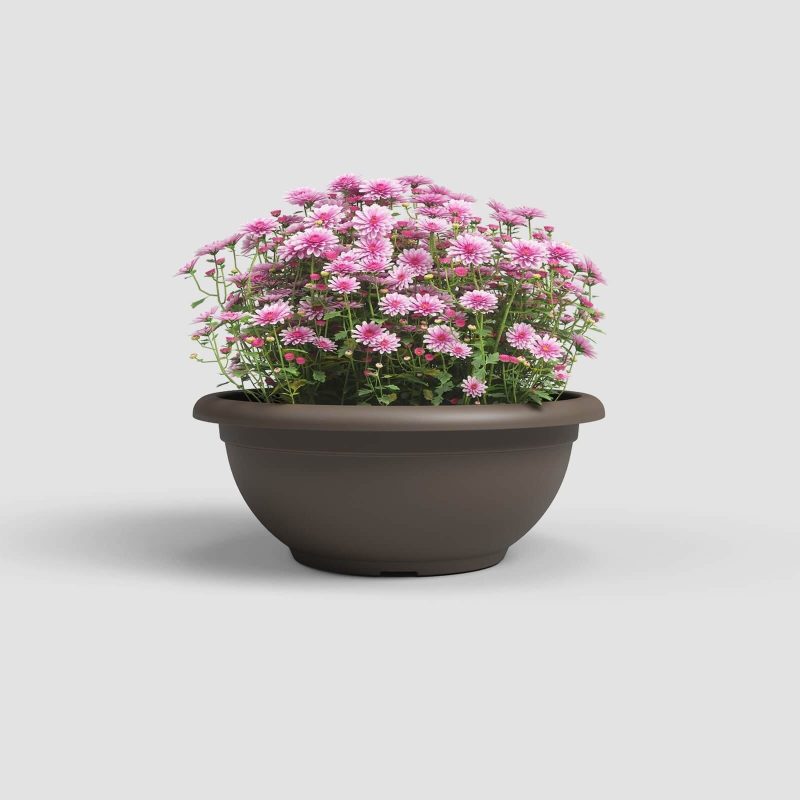 DUBUO TAMSIAI RUDAS, 40X17CM - Image 2
