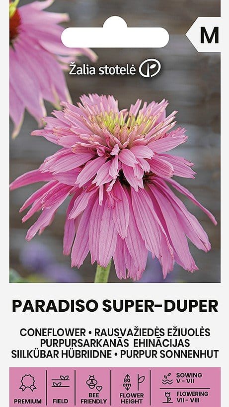 EŽIUOLĖS RAUSVAŽIEDĖS PARADISO SUPER-DUPER