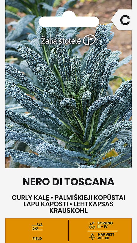 GARBANOTIEJI KOPŪSTAI NERO DI TOSCANA