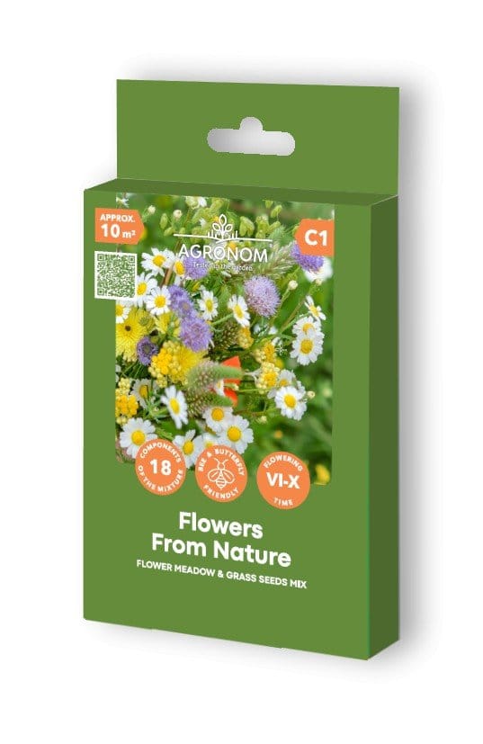 GĖLIŲ IR ŽOLIŲ SĖKLŲ MIŠINYS FLOWERS FROM NATURE