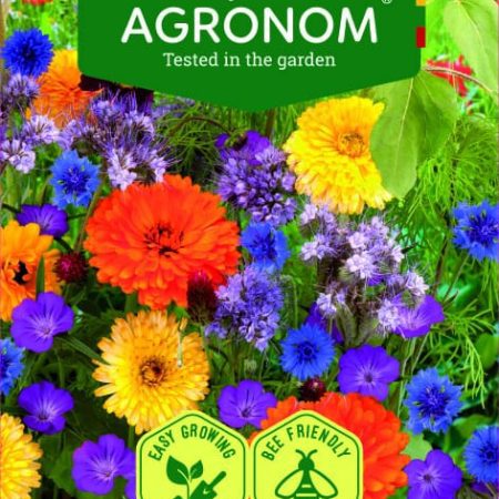 GĖLIŲ MIŠINYS DREAM MIX