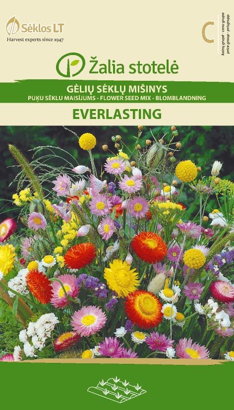 GĖLIŲ MIŠINYS EVERLASTING