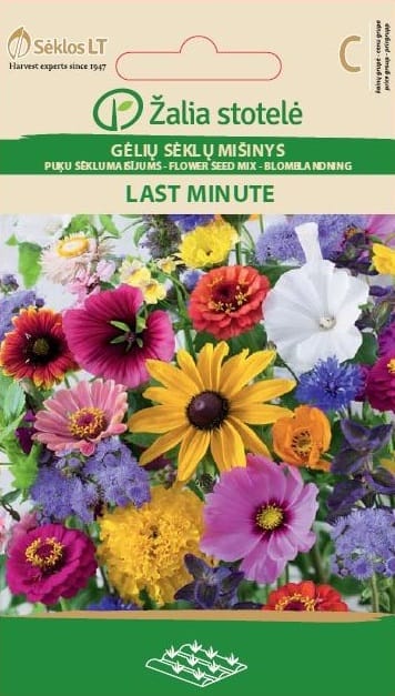 GĖLIŲ MIŠINYS LAST MINUTE