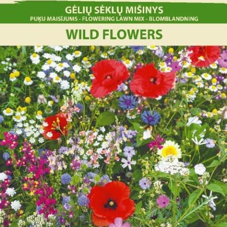 GĖLIŲ SĖKLŲ MIŠINYS WILD FLOWERS