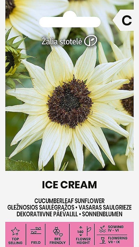 GLEŽNOSIOS SAULĖGRĄŽOS ICE CREAM