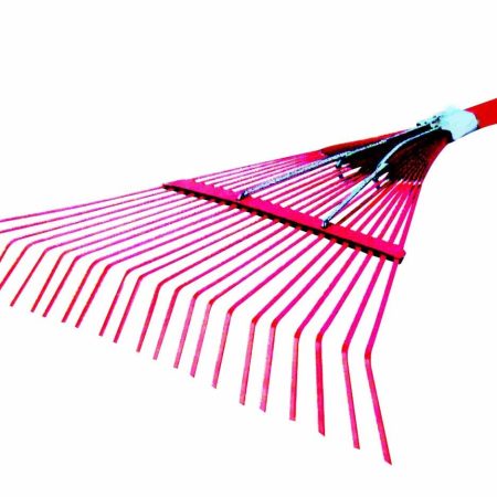 GRĖBLYS LAPAMS BE KOTO R118