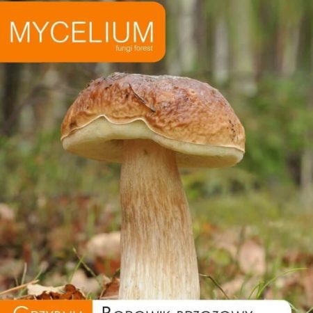 GRYBIENA BERŽYNINIS BARAVYKAS 10G