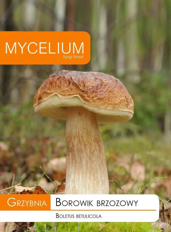 GRYBIENA BERŽYNINIS BARAVYKAS 10G