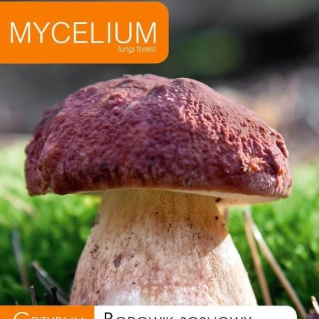 GRYBIENA PUŠYNINIS BARAVYKAS 10G