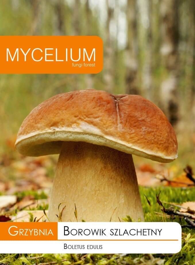 GRYBIENA TIKRINIS BARAVYKAS 10G