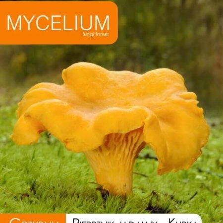 GRYBIENA VALGOMOJI VOVERAITĖ 10G