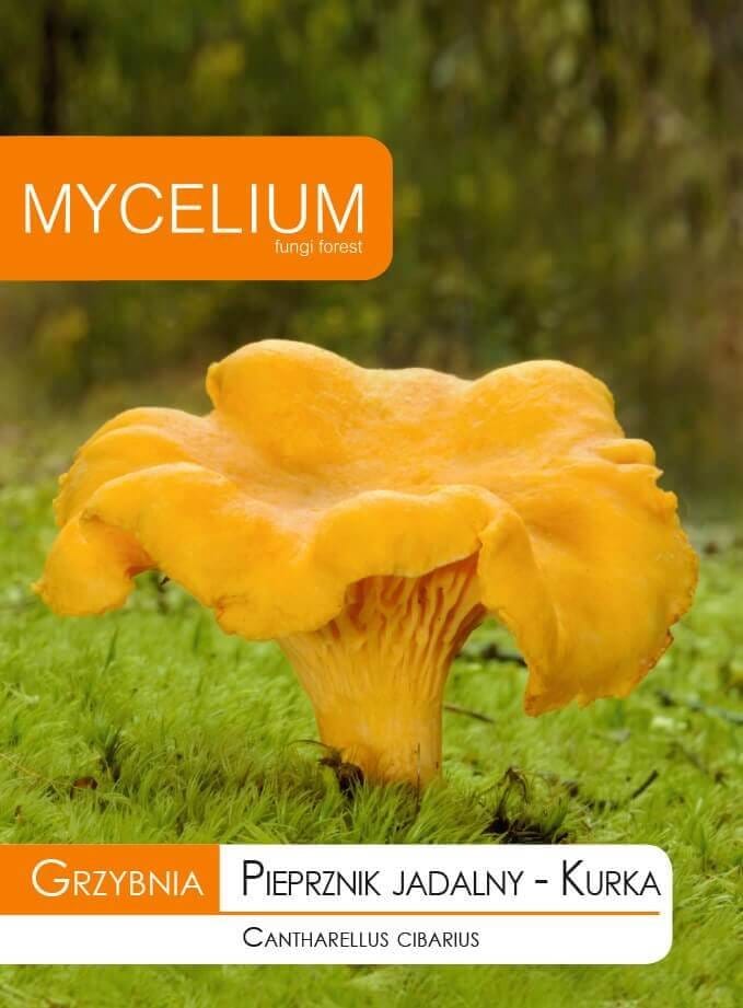 GRYBIENA VALGOMOJI VOVERAITĖ 10G