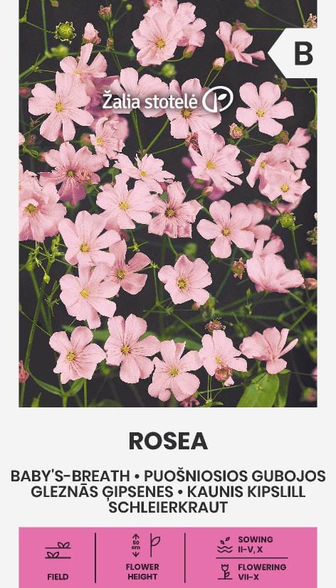 GUBOJOS PUOŠNIOSIOS ROSEA