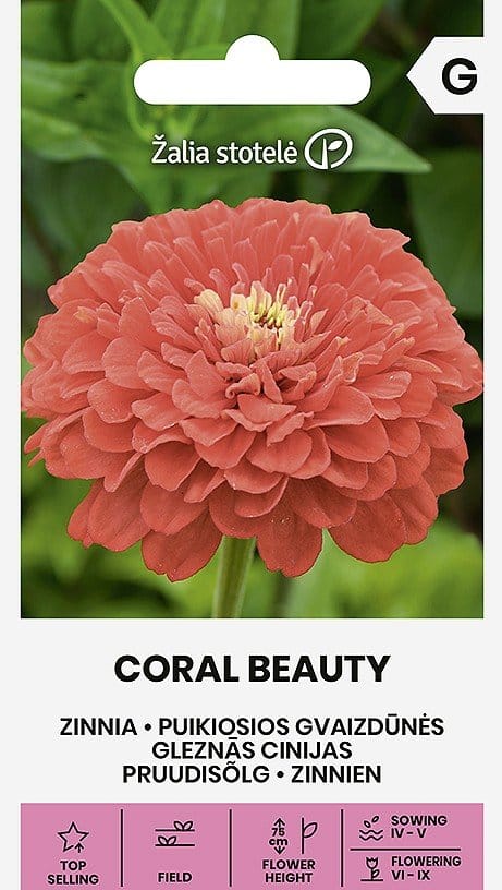 GVAIZDŪNĖS PUIKIOSIOS CORAL BEAUTY