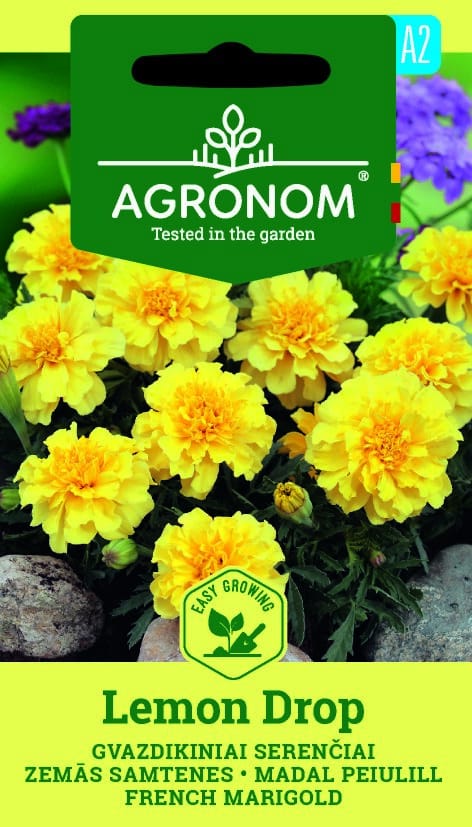 GVAZDIKINIAI SERENČIAI LEMON DROP