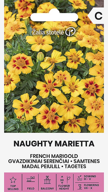 GVAZDIKINIAI SERENČIAI NAUGHTY MARIETTA