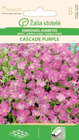 HIBRIDINĖS AUBRETĖS CASCADE PURPLE