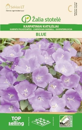 KARPATINIAI KATILĖLIAI MĖLYNI