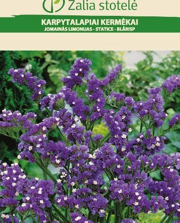 KARPYTALAPIAI KERMĖKAI