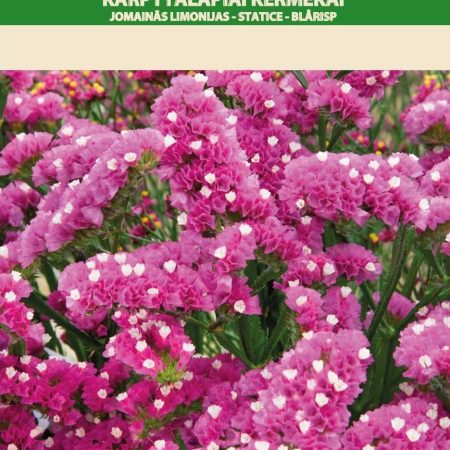 KARPYTALAPIAI KERMĖKAI