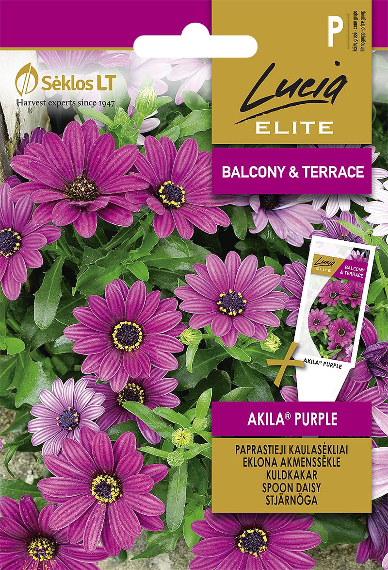 KAULASĖKLIAI PAPRASTIEJI AKILA® PURPLE