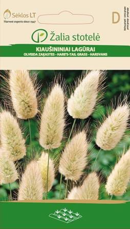 KIAUŠININIAI LAGŪRAI RABBIT S TAIL GRASS