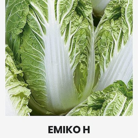 KININIAI BASTUČIAI EMIKO H