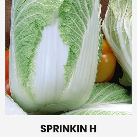 KININIAI BASTUČIAI SPRINKIN H