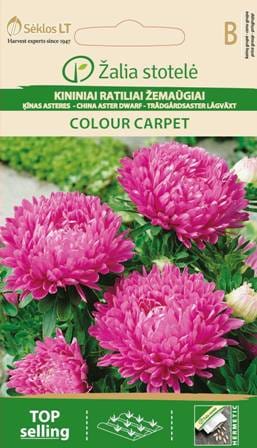 KININIAI RATILIAI COLOUR CARPET
