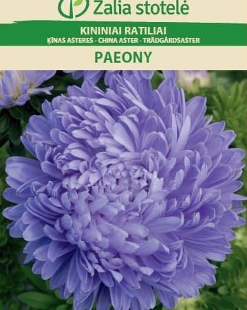 KININIAI RATILIAI PAEONY VIOLET