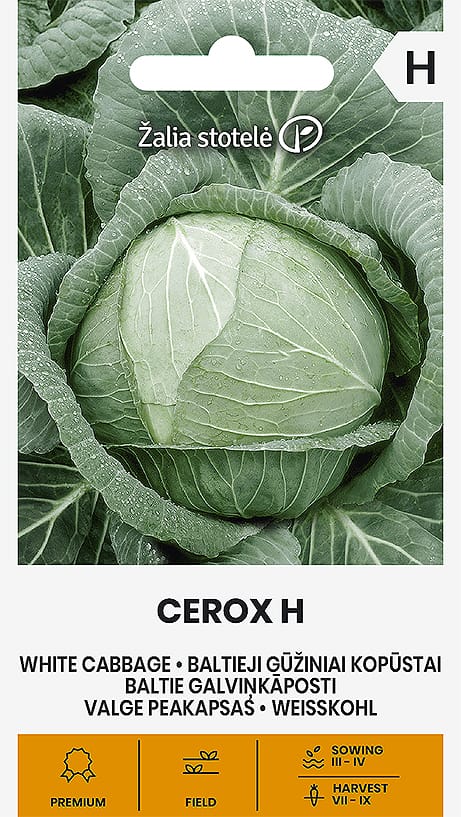 KOPŪSTAI B/G CEROX H