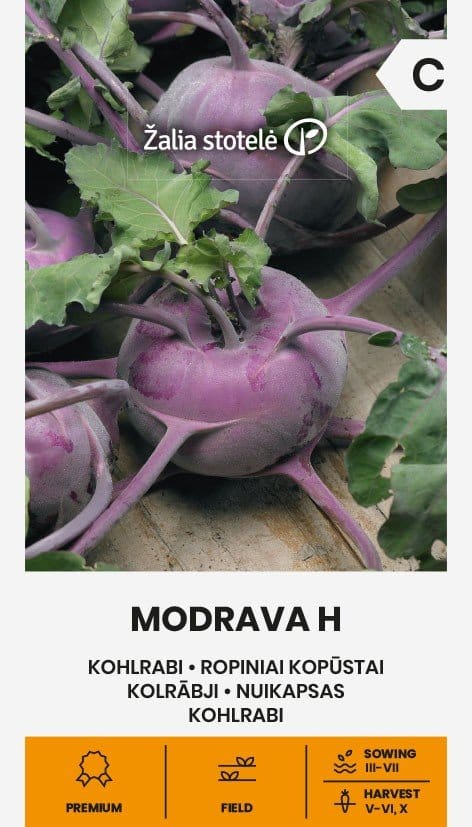 KOPŪSTAI ROPINIAI MODRAVA H
