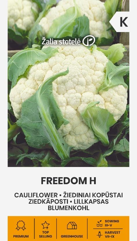 KOPŪSTAI ŽIEDINIAI FREEDOM H