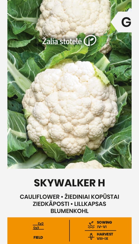 KOPŪSTAI ŽIEDINIAI SKYWALKER H
