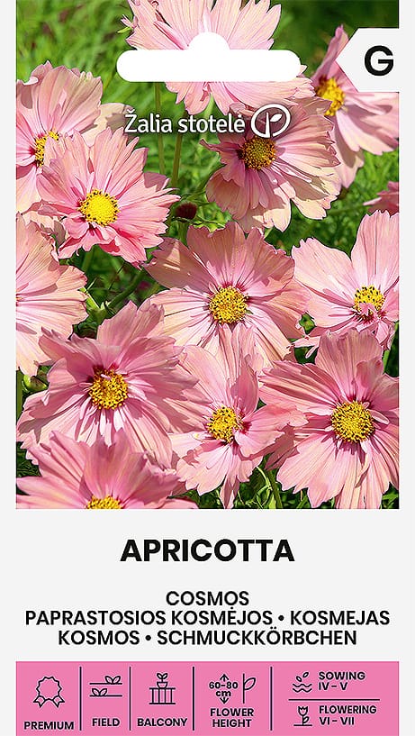 KOSMĖJOS PAPRASTOSIOS APRICOTTA