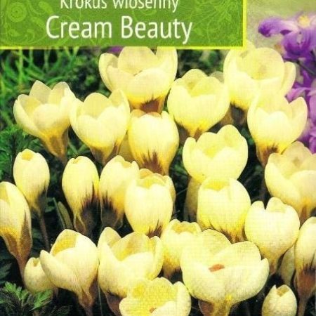 KROKAI PAVASARINIAI CREAM BEAUTY