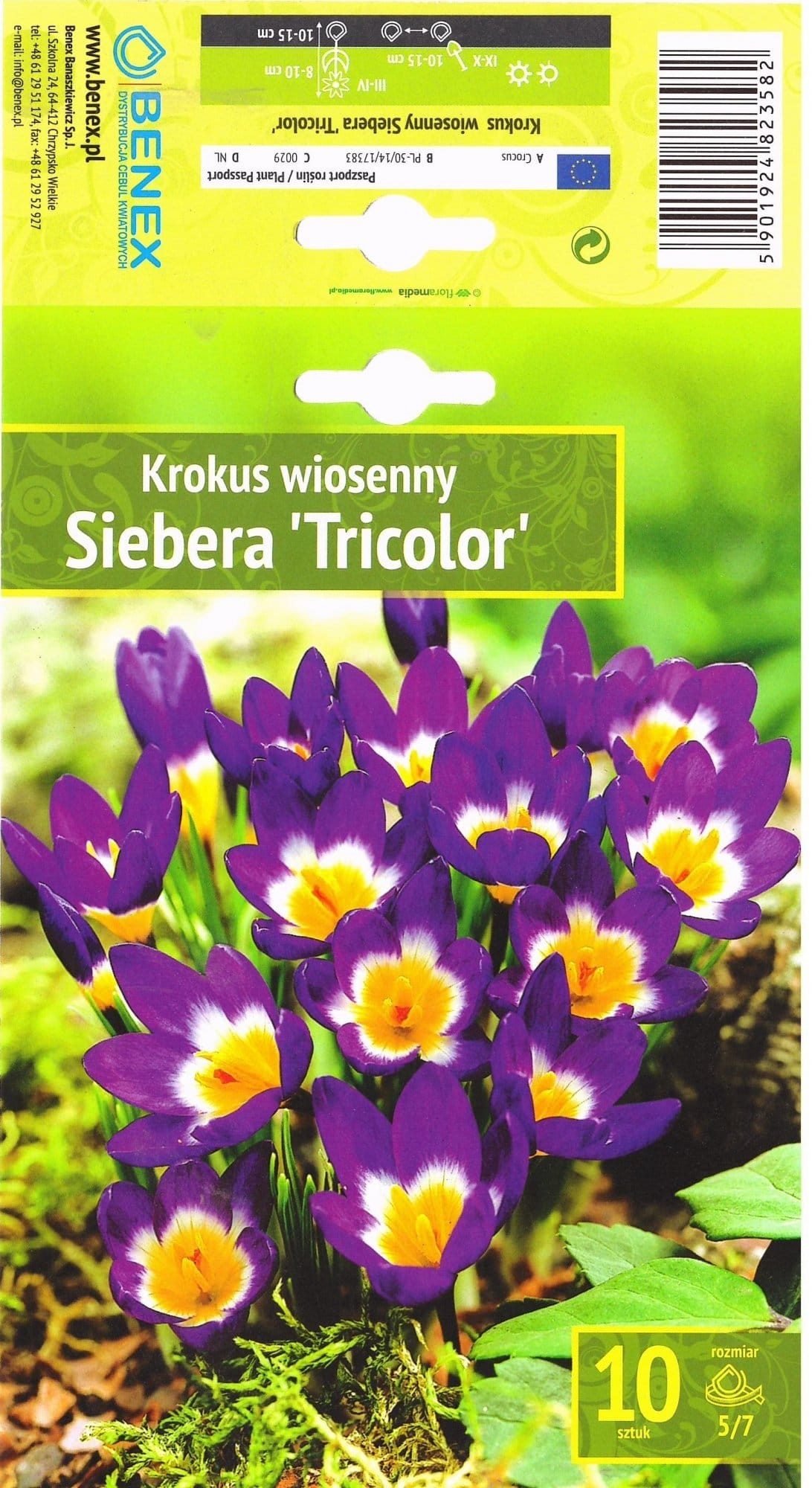 KROKAI PAVASARINIAI SIEBERA "TRICOLOR"