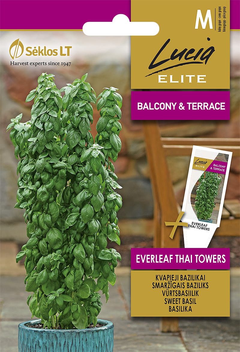 KVAPIEJI BAZILIKAI EVERLEAF THAI TOWERS