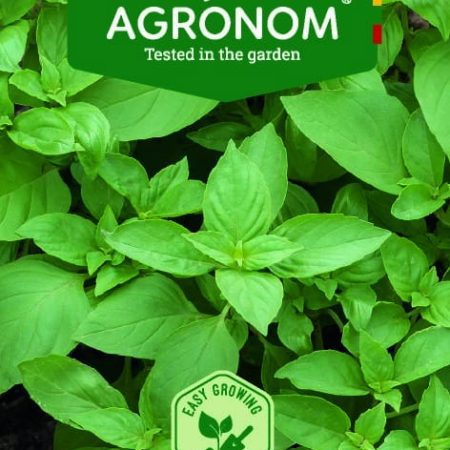 KVAPIEJI BAZILIKAI ITALIANO CLASSICO