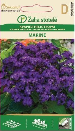 KVAPIEJI HELIOTROPAI MARINE