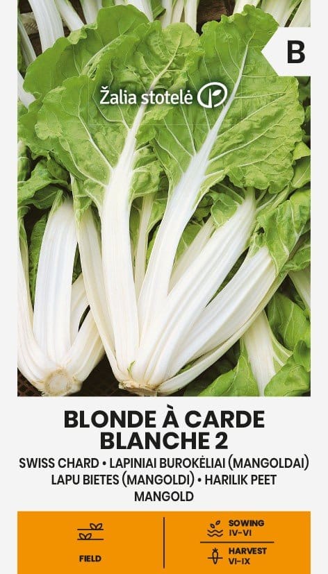 LAPINIAI BUROKĖLIAI BLONDE A CARDE BLANCHE 2