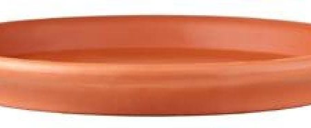 LĖKŠTĖ MOLINĖ RUDA, 19,9CM