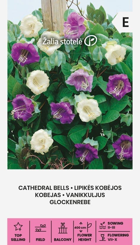 LIPIKĖS KOBĖJOS